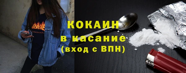 стаф Богданович