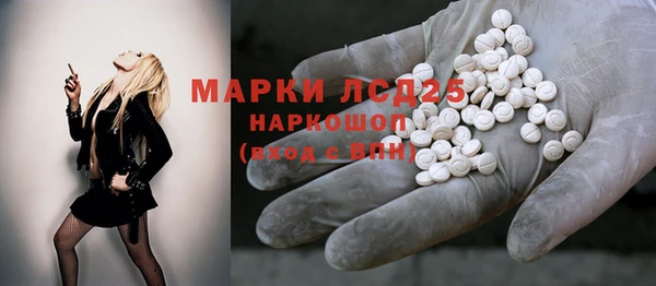 стаф Богданович