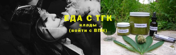 стаф Богданович