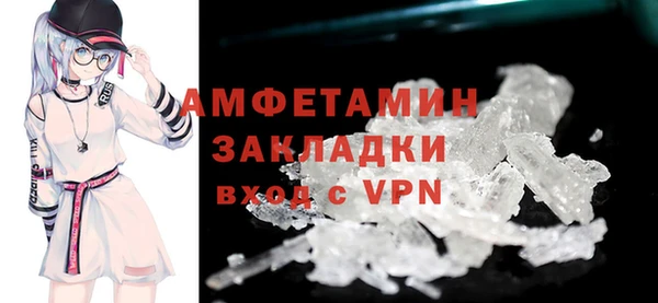 стаф Богданович