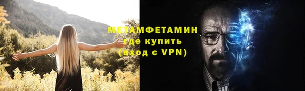 стаф Богданович