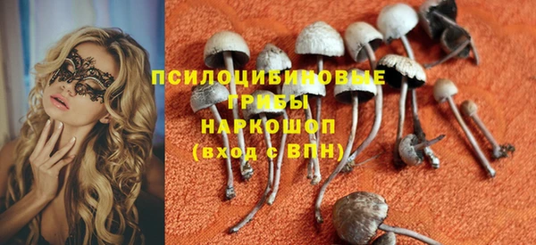 наркотики Заводоуковск