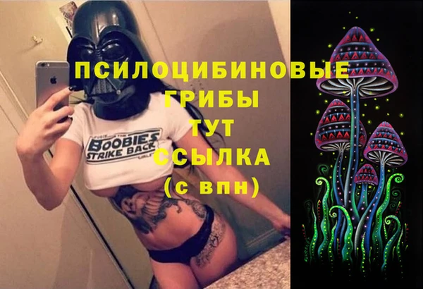 кокс Богородицк