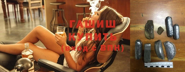 стаф Богданович
