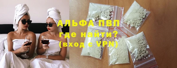 стаф Богданович