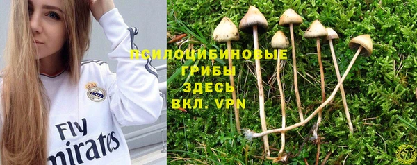 кокс Богородицк
