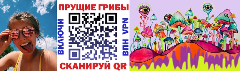 Галлюциногенные грибы Psilocybine cubensis Троицк